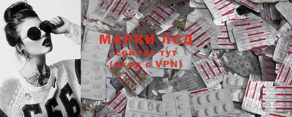 экстази Михайлов